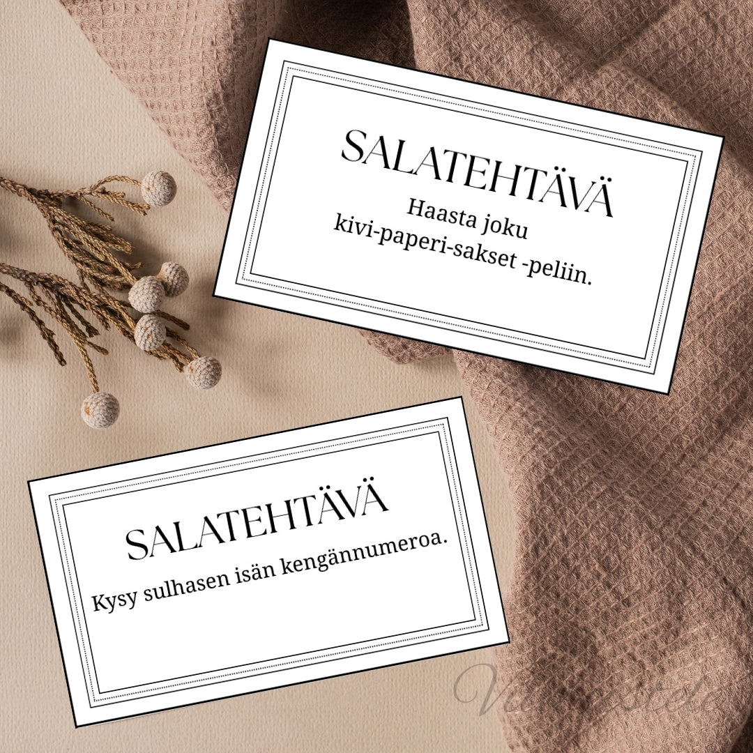 Salatehtävät häihin (Printattu)