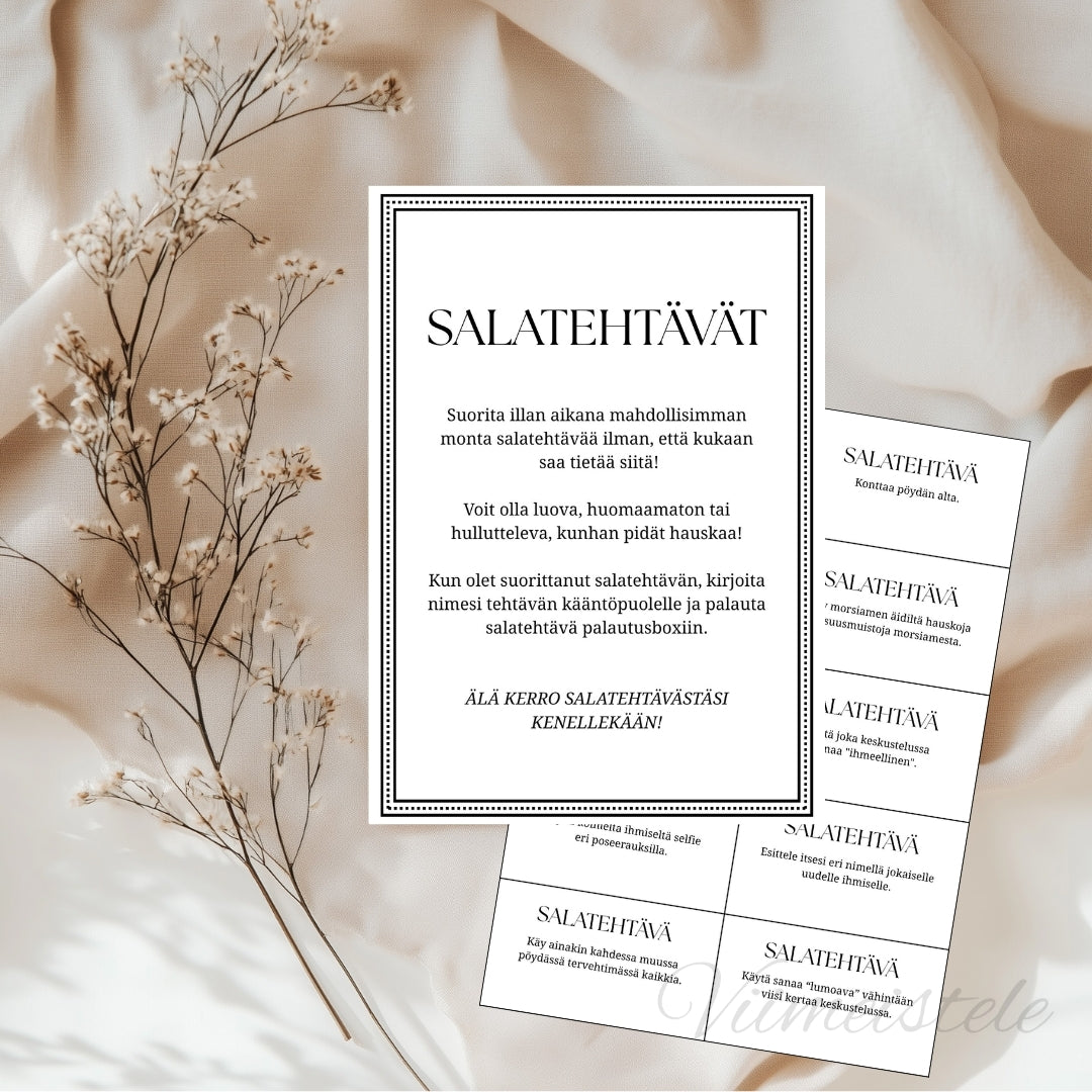 Salatehtävät häihin (Printattu)